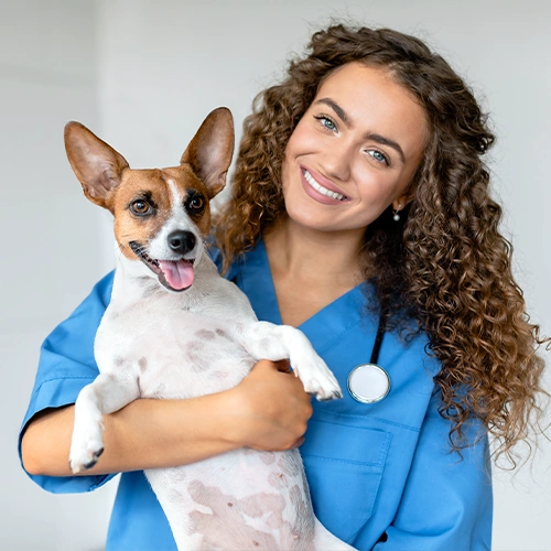 Spay & Neuter
