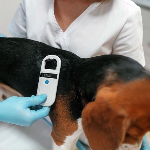 Microchips & Other Services